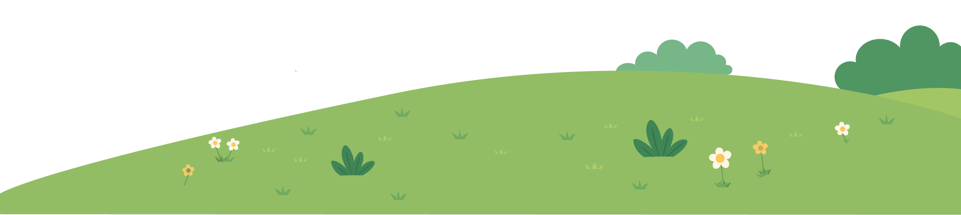 Lapangan